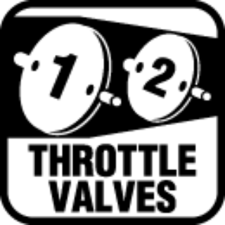 DUAL THROTTLE VALVES